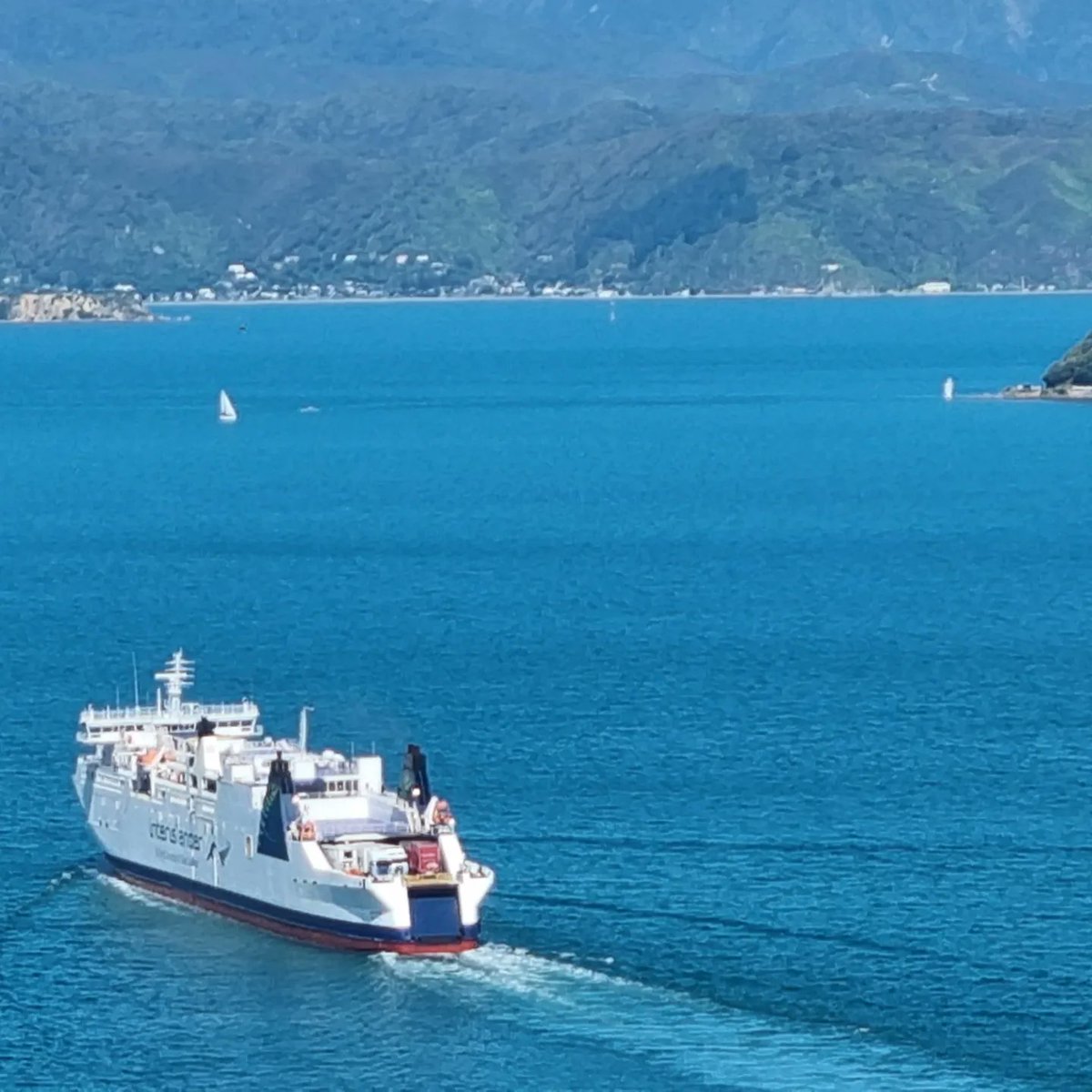 Peter O'Carroll tweet media