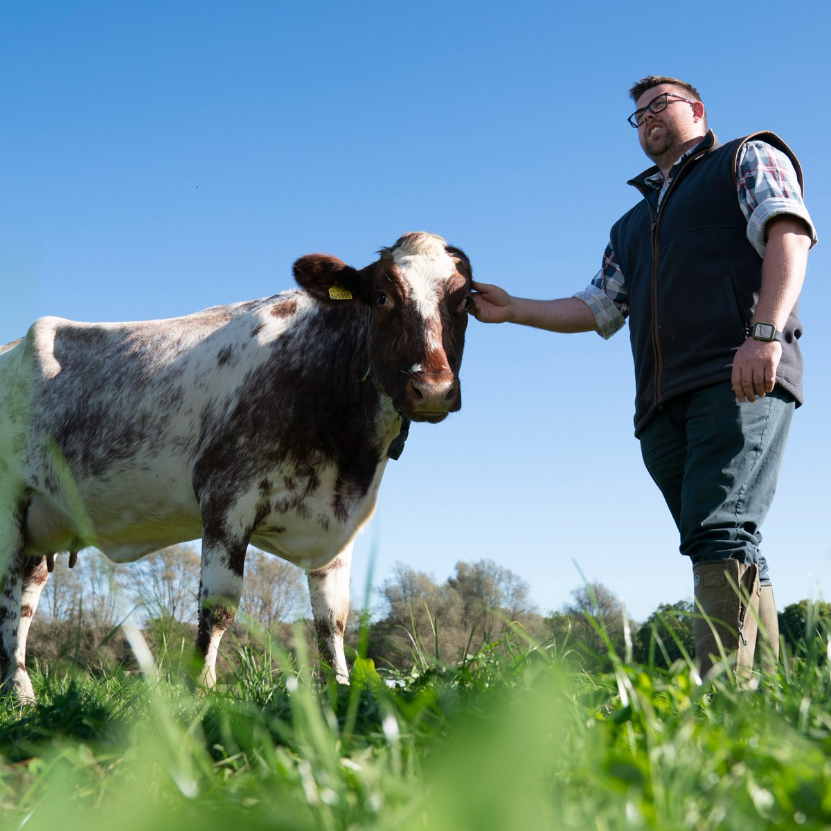 Arla Dairy UK (@arladairyuk) on Twitter photo We’ve partnered with <a href="/ProvenanceHQ/">Provenance</a> the transparency tech company that powers sustainability claims you can trust, enabling you to shop in line with your values 💚
Find out more about Arla C.A.R.E here 👇
arlafoods.co.uk/care/ We’ve partnered with <a href="/ProvenanceHQ/">Provenance</a> the transparency tech company that powers sustainability claims you can trust, enabling you to shop in line with your values 💚
Find out more about Arla C.A.R.E here 👇
arlafoods.co.uk/care/