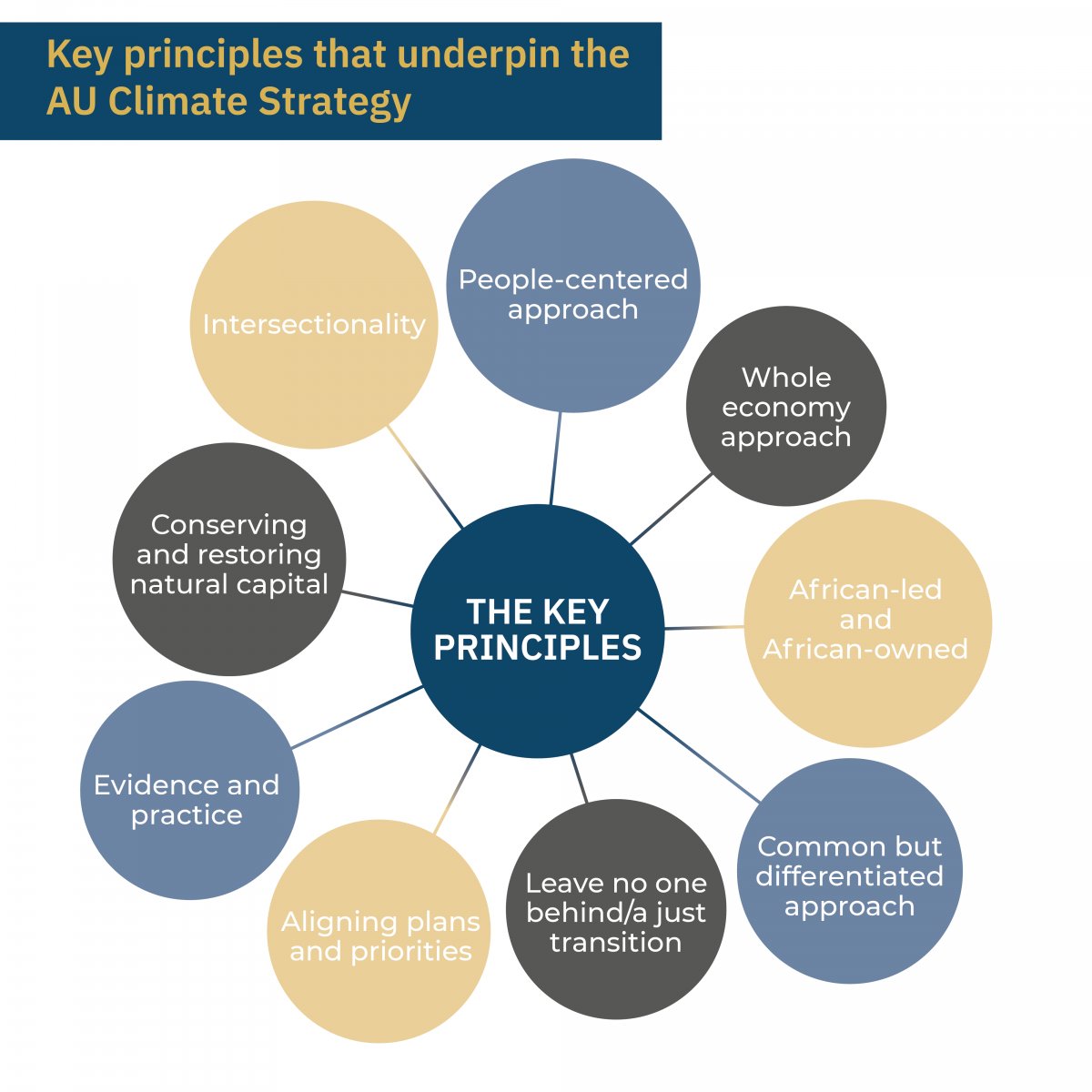 South African Institute of International Affairs tweet media