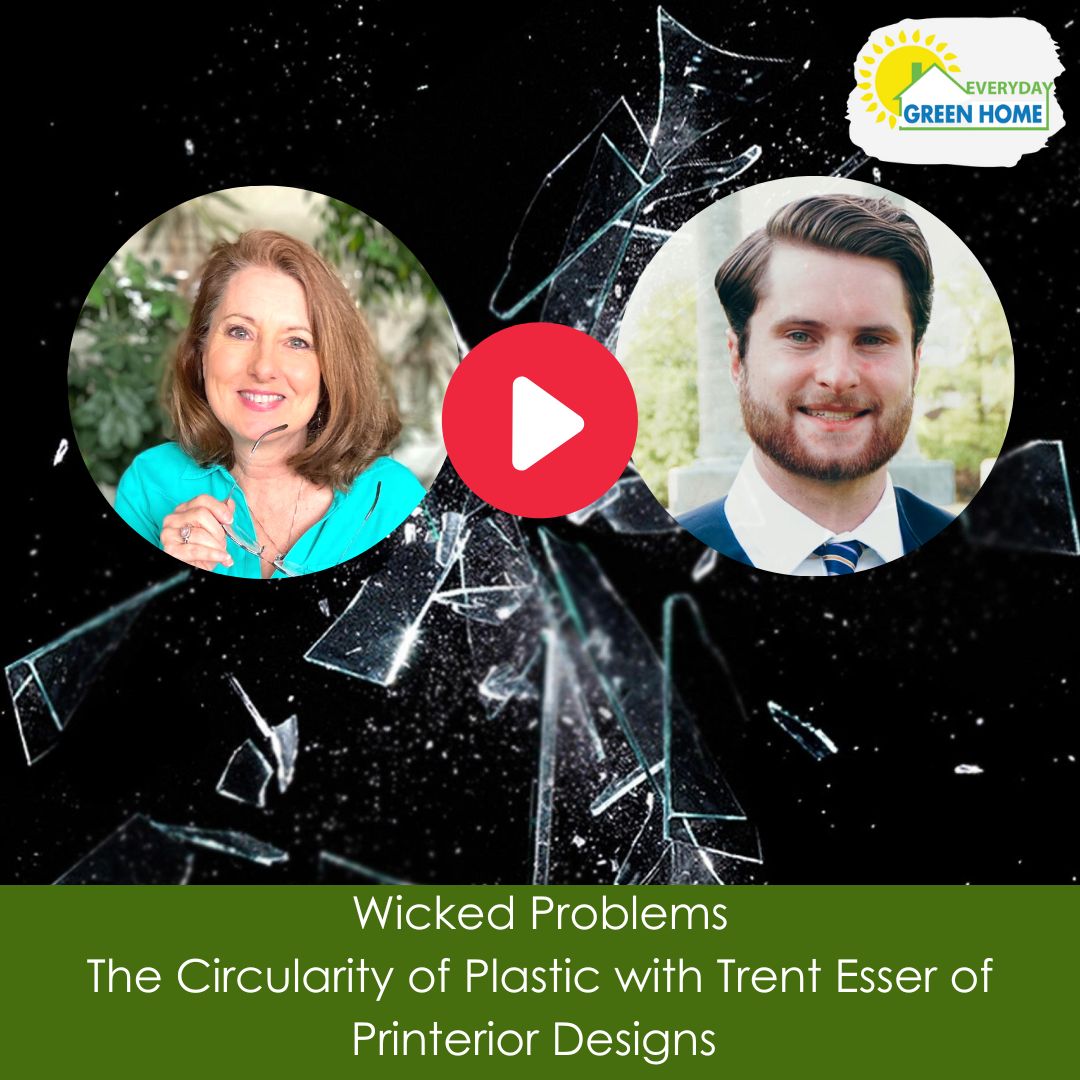 I’m Marla, the Green Home Coach! Today I am super excited to have my son, Trent, joining me on the podcast to explain how he uses recycled plastic to make filament for 3-D printing and talk about recycling different types of plastic. Join the conversation greenhomecoach.libsyn.com/everyday-green…