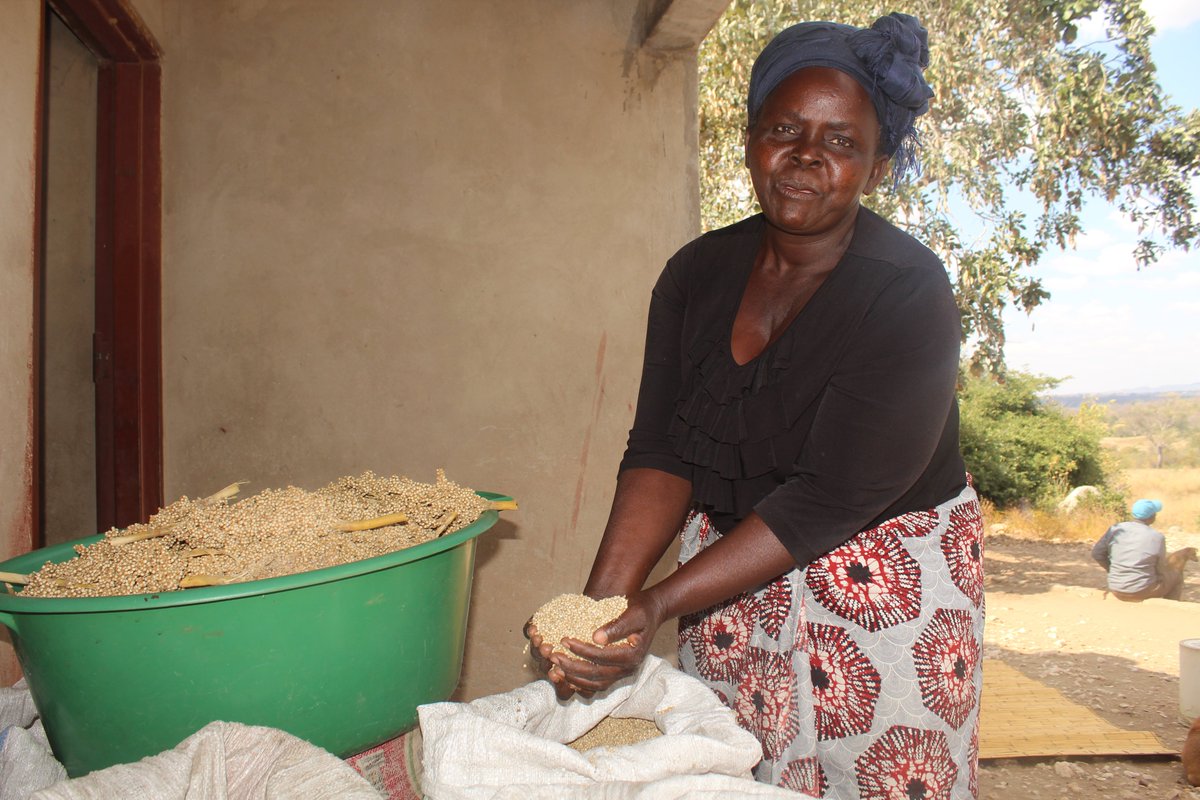 With calls by UN Chief, @antonioguterres for resilience-building to counter future climate disruption, @UNDPZimbabwe- #ZRBF with funding from @UKinZimbabwe @SwedeninZW @euinzim supports vulnerable communities in Zimbabwe to bounce back better and protect development gains #COP27