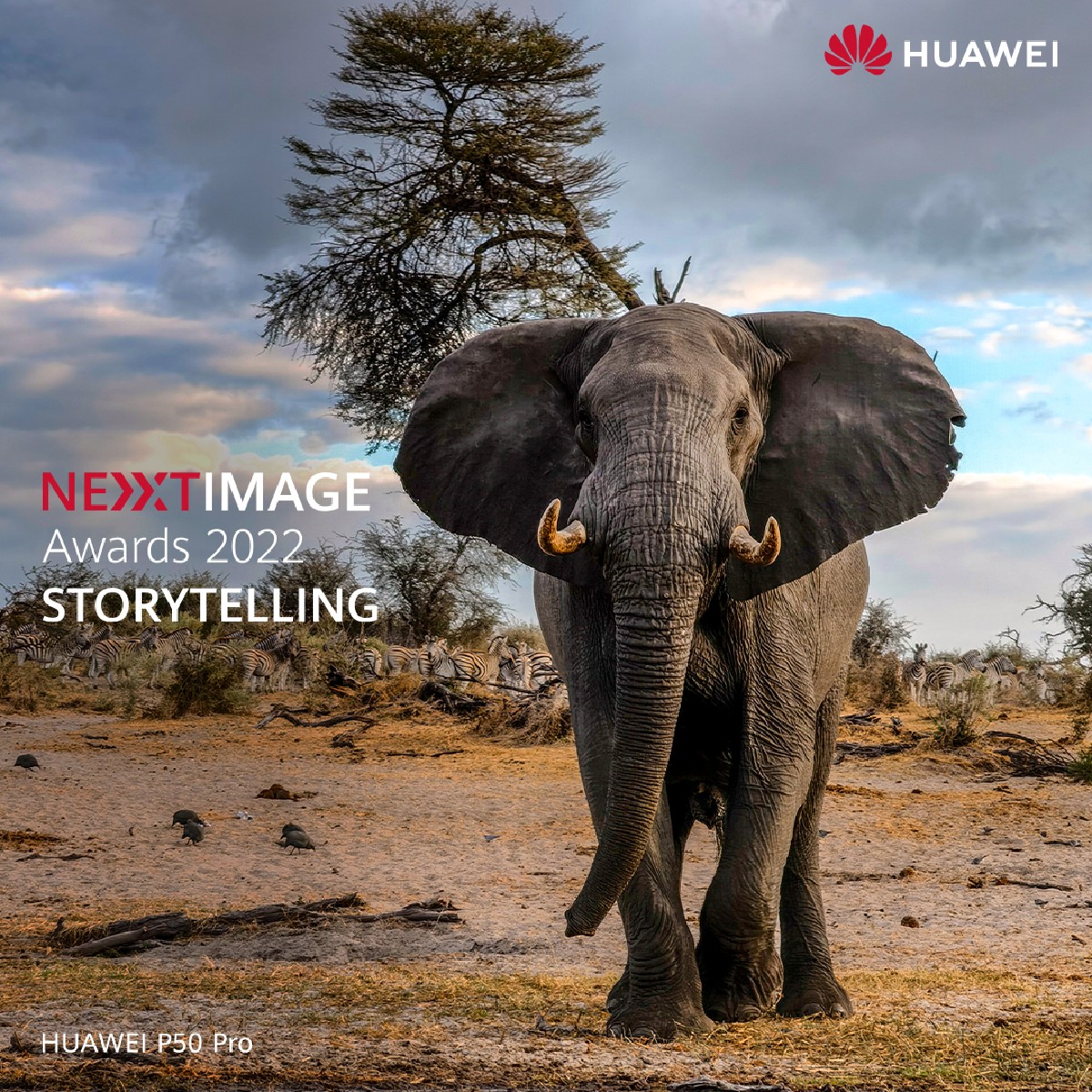 HuaweiMobileNL tweet media