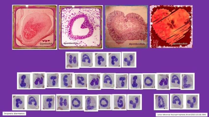 Pembe Oltulu, MD tweet media