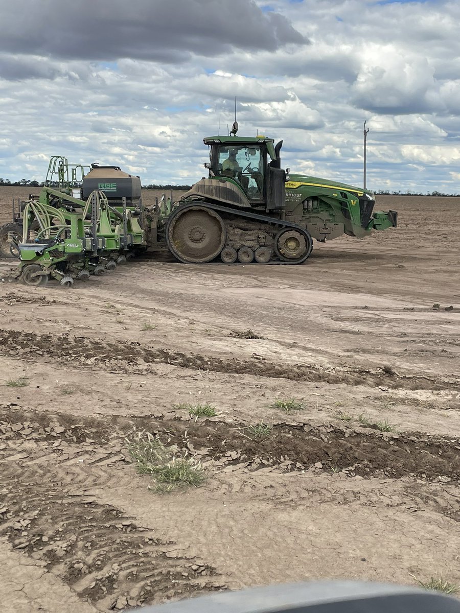 Brad Donald tweet media