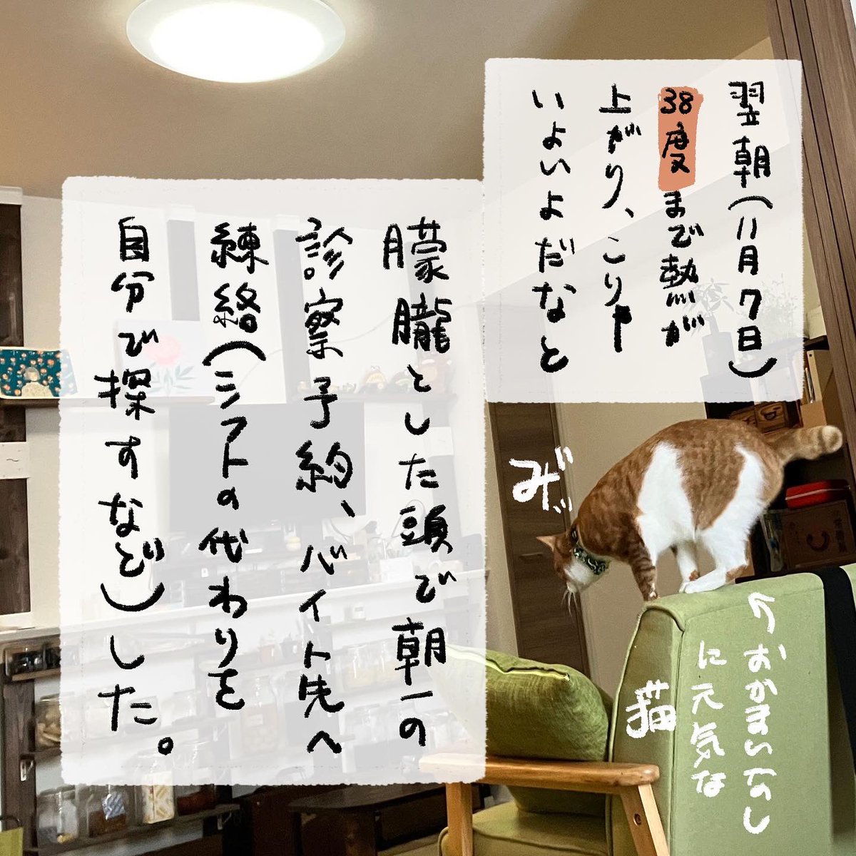 発熱編(2/3)

バイクでの旅はほぼ移動がメインで混雑箇所への滞在や赤の他人との所謂、濃厚接触に該当する接触はありませんでした。 