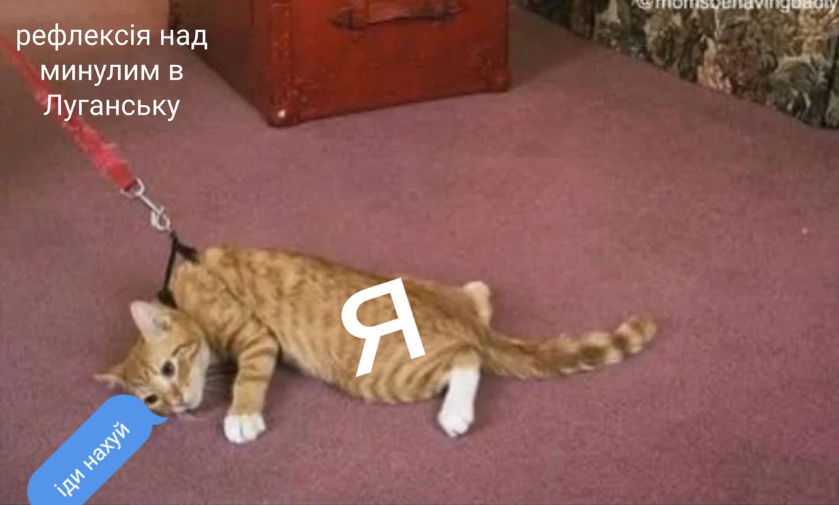 Славєнтій tweet media