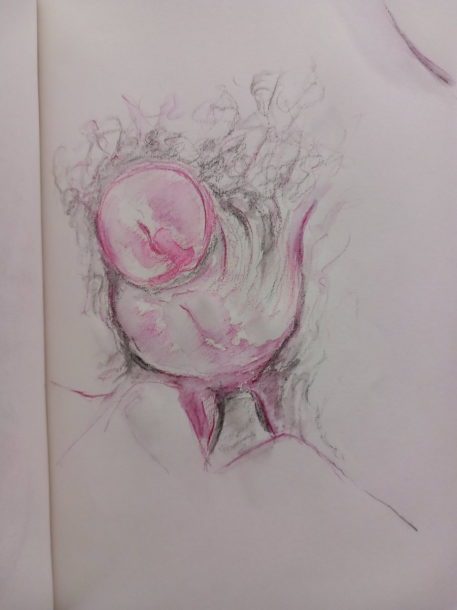 #drawings 
#watercolour 
#eroticarte
#NudistCamp 
#artmodel 
#sexart
#eroticdrawings