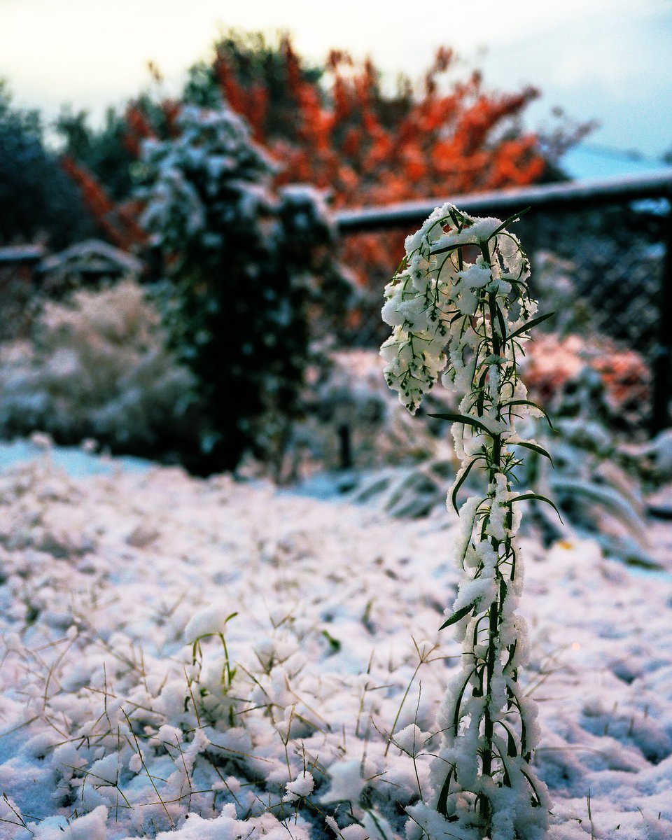 Hello, winter! #snow #winter #photography #christmas #naturephotography #winterwonderland #photooftheday #cold #snowday #instagood #adventure #hiking #travelphotography #ice #picoftheday #beautiful #sky #landscapephotography