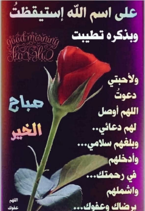 #صباح_الخيرᅠ