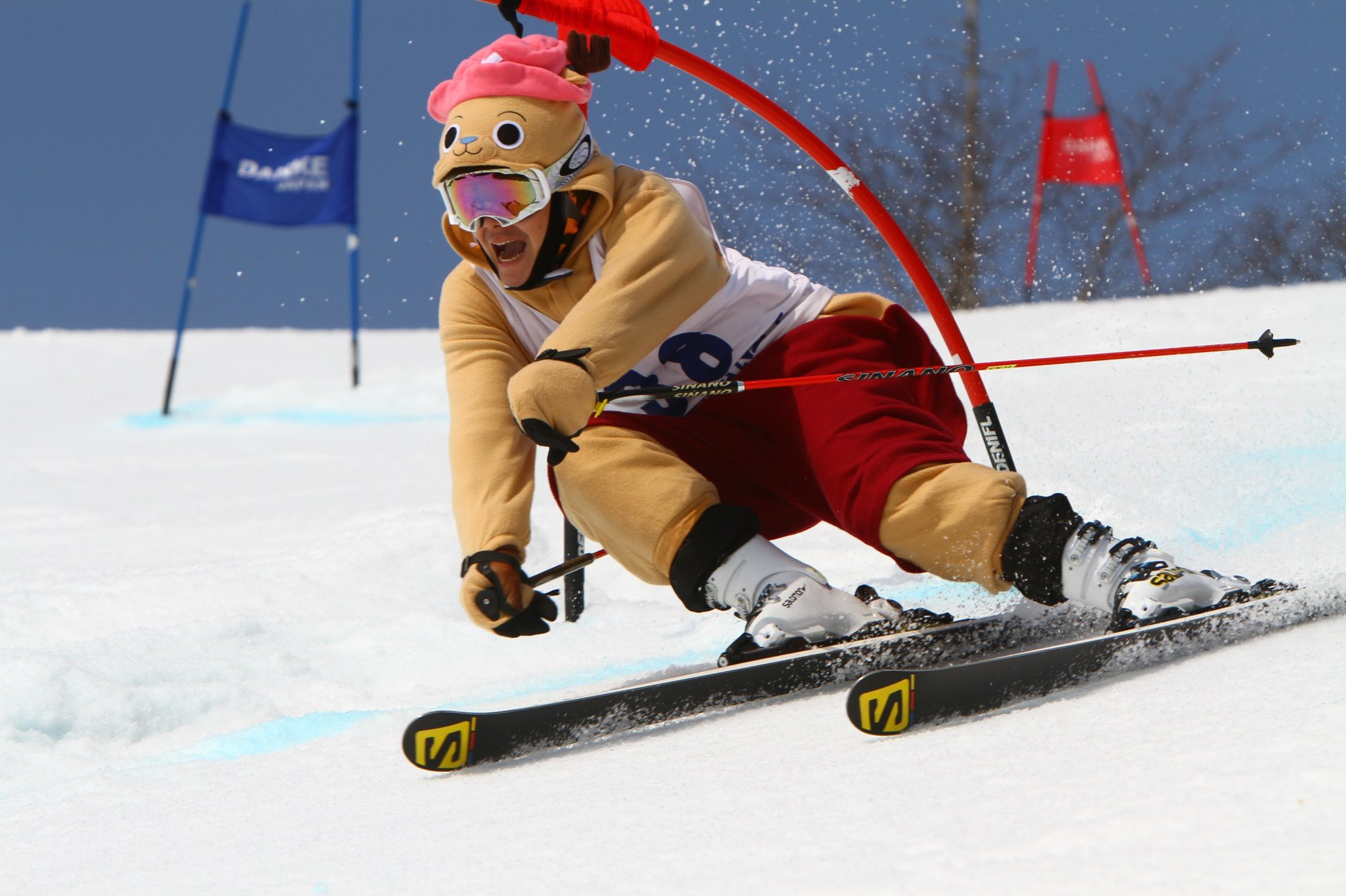 Salomon QST Blank 178cm スキー板 サロモン(salomon) フリースタイル