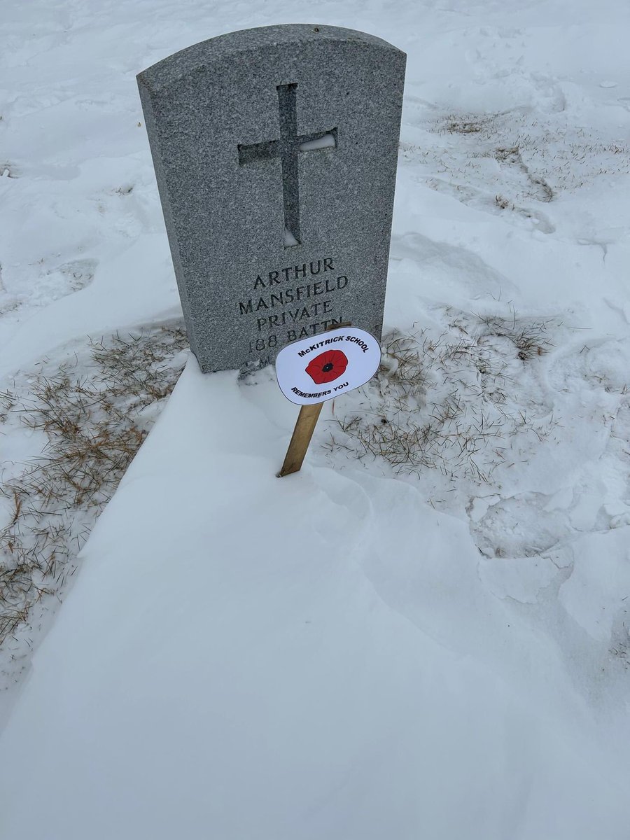 SchoolMckitrick's tweet photo. McKitrick grade 6 students went to the Veterans' gravesites in North Battleford to honour and thank those who fought for our freedom in Canada. They placed Canada flags and markers amoung the graves and learned more about why we celebrate Remembrance Day.   #RemembranceDay2022 https://t.co/FwUWqLIzvG