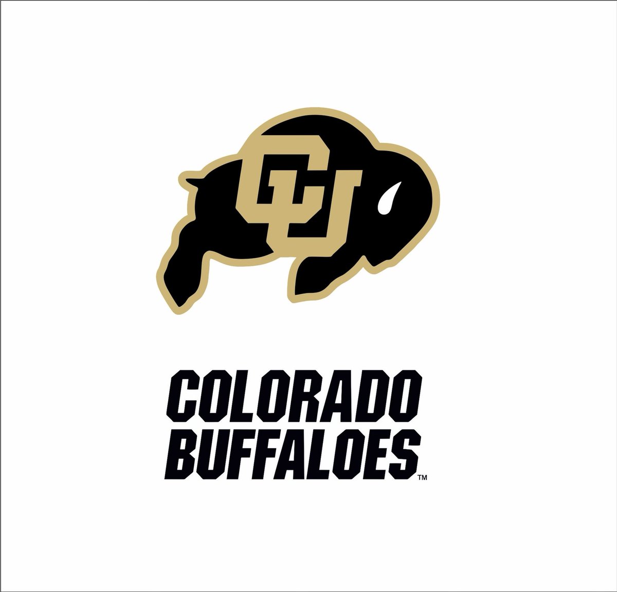 sorelewserr's tweet photo. Blessed to say I have received an offer from The University of Colorado.. Thank you Coach @Ballhawk__8 for the great words and for believing in me.#GoBuffs @Ballhawk__8 @ArmondSr @anthonybrowngz @_groundzer0 @GregBiggins @adamgorney @BrandonHuffman https://t.co/JDVukCJ9ng