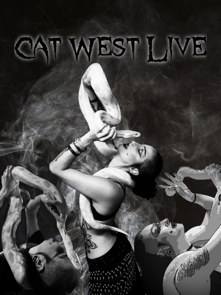 Catwestlive's tweet image. Finally made a Twitter 🖤🙏
#BellyDancer #SnakeMom #LivePerformer