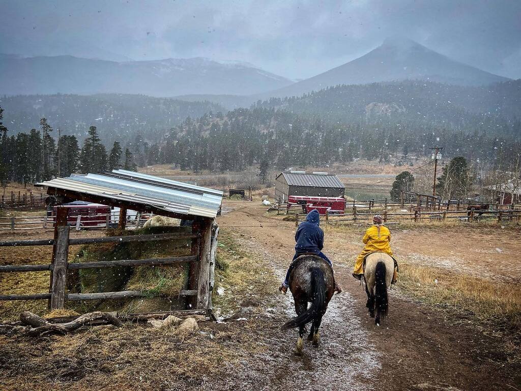 Cape Fear Gear tweet media