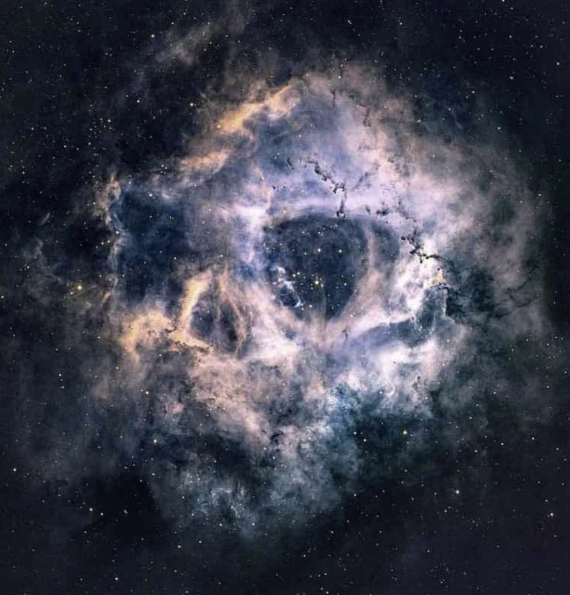 hankgreen's tweet photo. The Rosette Nebula legit looks like a human skull. https://t.co/gyjTalZ4if