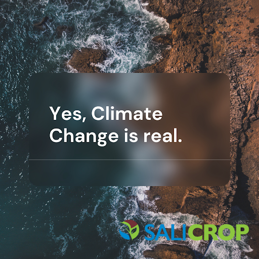 SaliCrop's tweet photo. At Salicrop we support food producers by incresing their yield under climate stress, building community resilience, and shifting power back into the hands of those who produce the world’s food #ClimateAction 
#COP27 #ClimateCrisis  #ClimateAction #SDGMoment
#ClimateCrisis https://t.co/PqFieWnSR8
