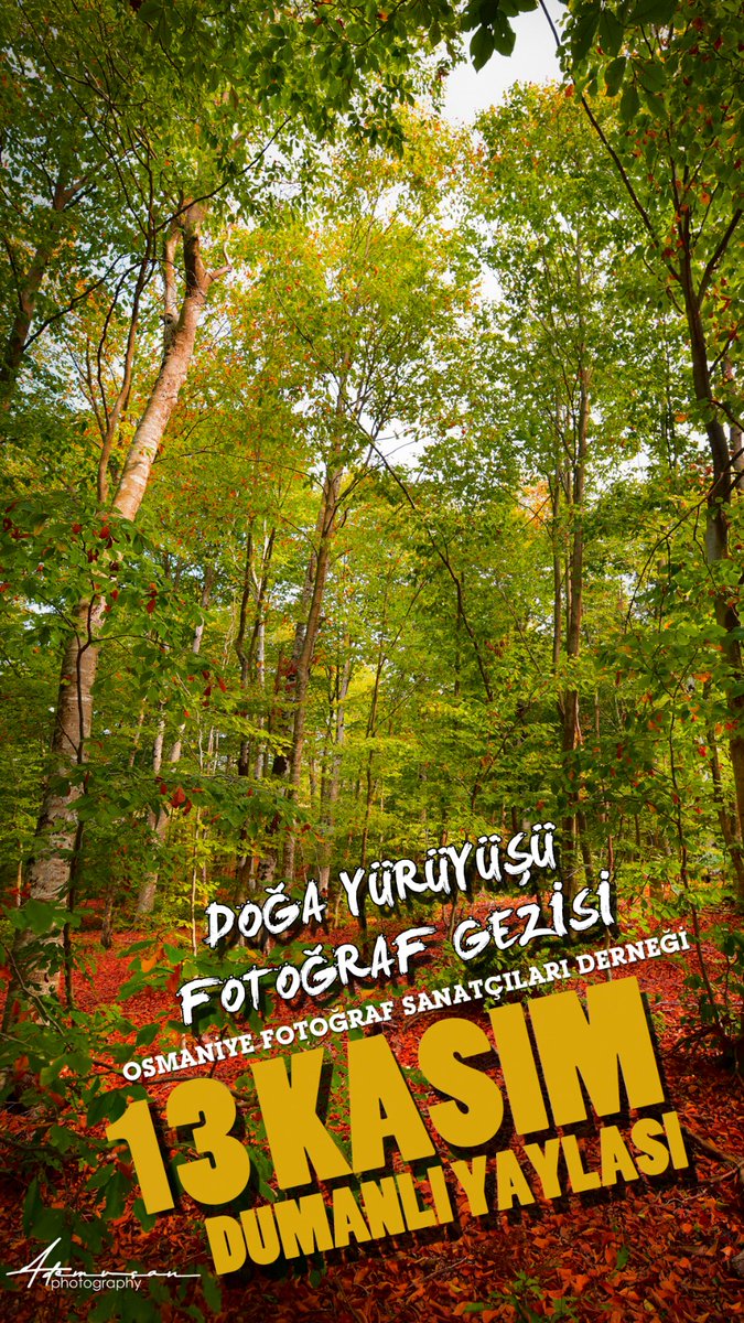 Osmaniye Fotoğraf Sanatçıları Derneğimiz tarafından organize edilen geleneksel "DUMALI YAYLASI SONBAHAR GEZİSİ"

13 Kasım 2022/PAZAR 
🕒 09:00
Hareket Yeri:OFSAD Dernek Binası 

Bilgi için :DM atabilirsiniz