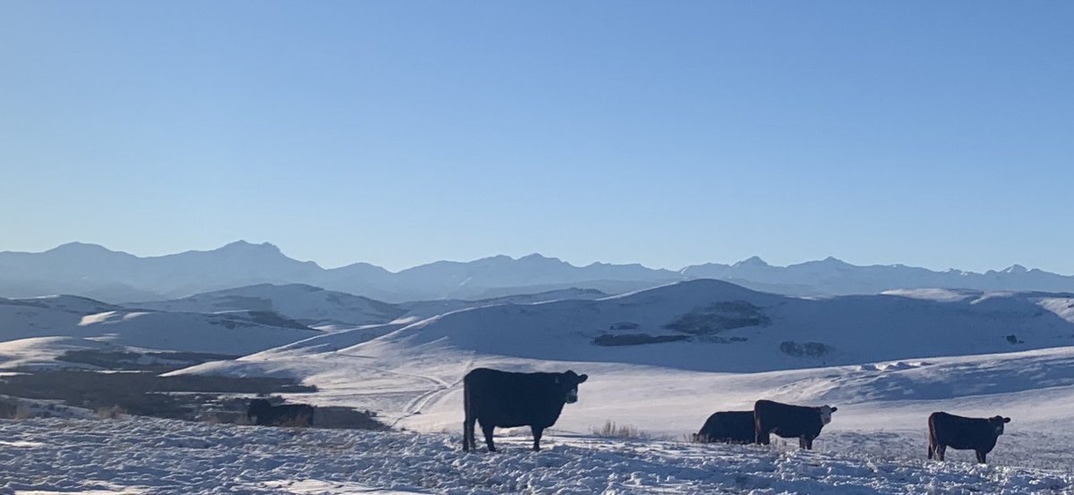 Tuesday after a Monday..the cold doesn’t seem so bad…so nice to have our beautiful Alberta sky back today..