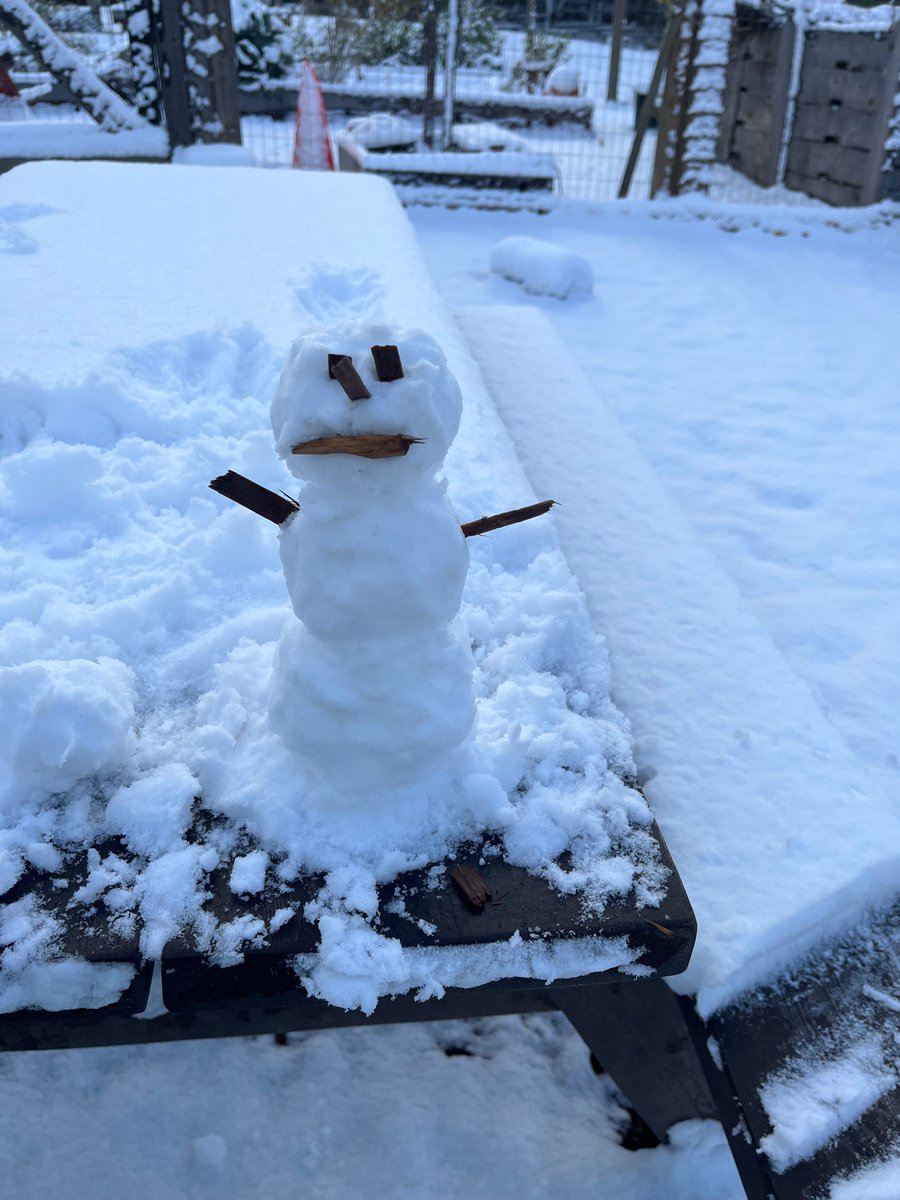 sinats63's tweet photo. Snow in November in Victoria means it’s time to go play! ⛄️ @SD63PLake https://t.co/p7Qzl9C7Hd