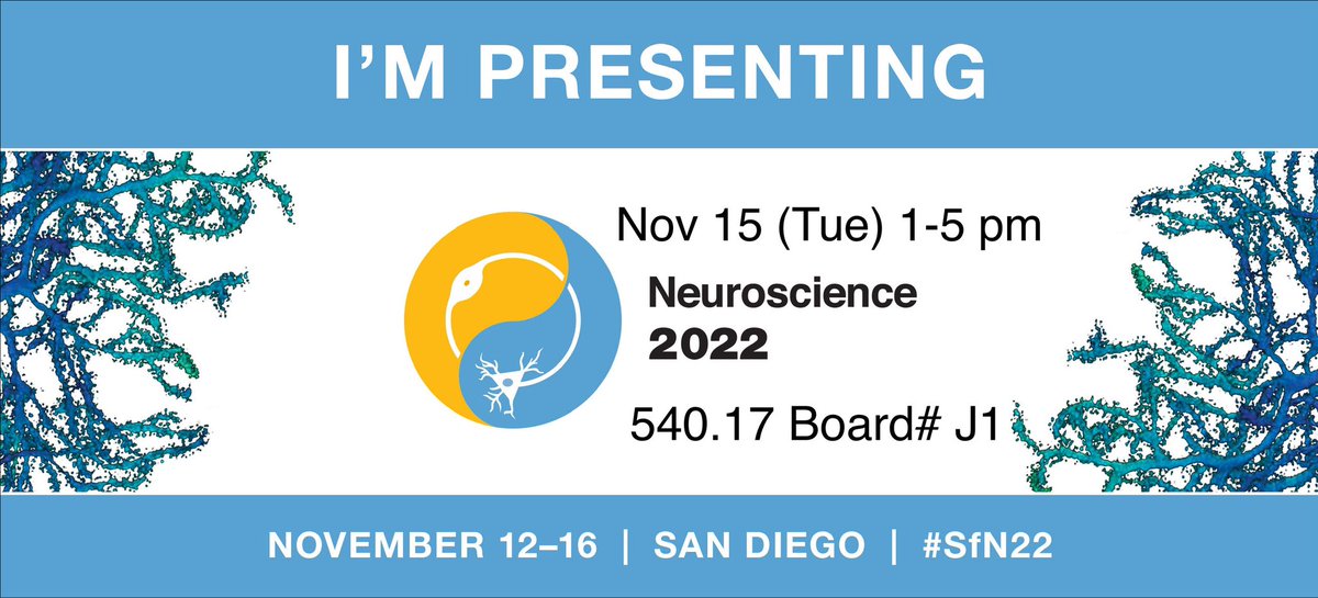 SSebastianChoi's tweet photo. Choi lab (4 months old) is recruiting postsocs! We study touch and pain pathways. I’ll be presenting a poster at #SfN22, mostly on my (un)published postdoc work, but please DM/email me if you are interested in connecting, and I’ll be happy to chat about research directions! https://t.co/wZqTCqKMjg