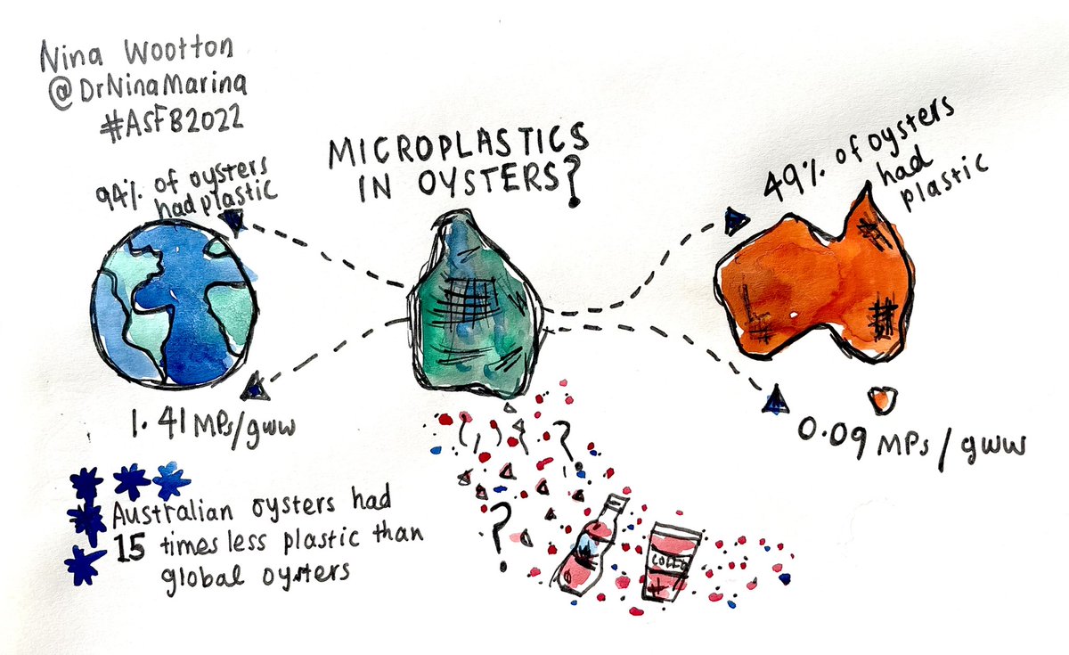 A little summary of my very own presentation from #ASFB2022. Key findings - Australian oysters have 15 times less #plastic than globally. <a href="/AustSocFishBiol/">ASFB</a> 🦪🦪

Read the paper here: doi.org/10.1016/j.chem… #scicomm