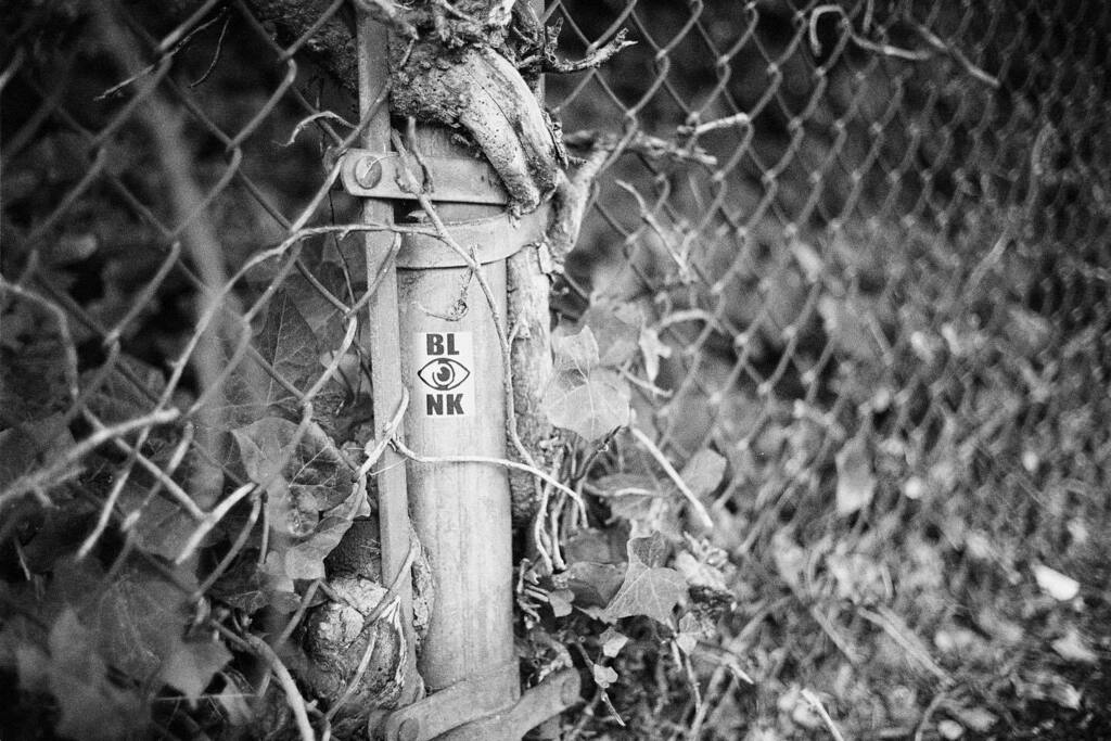 stirwise's tweet image. Blink and you’ll miss it 
.
.
#thinkblink #bl👁️ink #streetphotography #slaps #streetart #seattlestickerpatrol #analog #filmisnotdead #delta400 #df96 #homelab #leicaclfilm #mrokkor40mm
