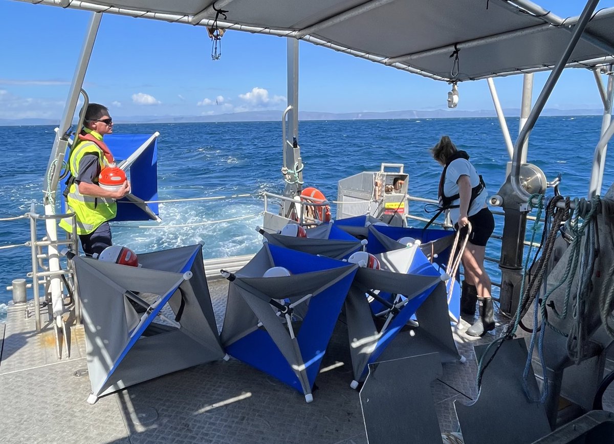 Ready to deploy 🫡 GPS drifters lined up on the deck of Ikatere, waiting for a dip into the strait yesterday. They led us all the way to Baring Head overnight, any further and we would’ve been popping into <a href="/niwa_nz/">NIWA</a> for lunch 🛥️
