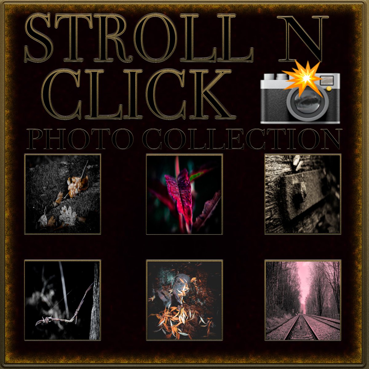 crypto-concepts72.eth📸🇬🇧 tweet media