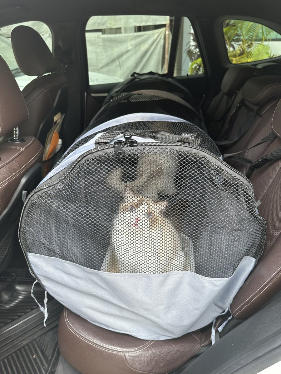 Bonusiie's tweet photo. พาน้องแมวไปเที่ยวต้องเดินทางนานๆ กลัวน้องวุ่นวายไม่อยู่กับที่ หรือพาไปหลายตัวต้องทำยังไงดี ขอแนะนำสิ่งนี้คืออุโมงค์ใส่รถ เป็นคอกมีซิปสามารถพับเก็บได้ อันนี้สั่งไซส์ใหญ่สุดใหญ่แบบน้องหมาใหญ่ก็เข้าได้ ใส่กระบะทรายได้ มีตั���ล็อคกับเบาะรถกันกลิ้งตก แต่ไม่เก็บเสียงนะ😥 #แม่แมวรีวิว https://t.co/7FAG2npQso