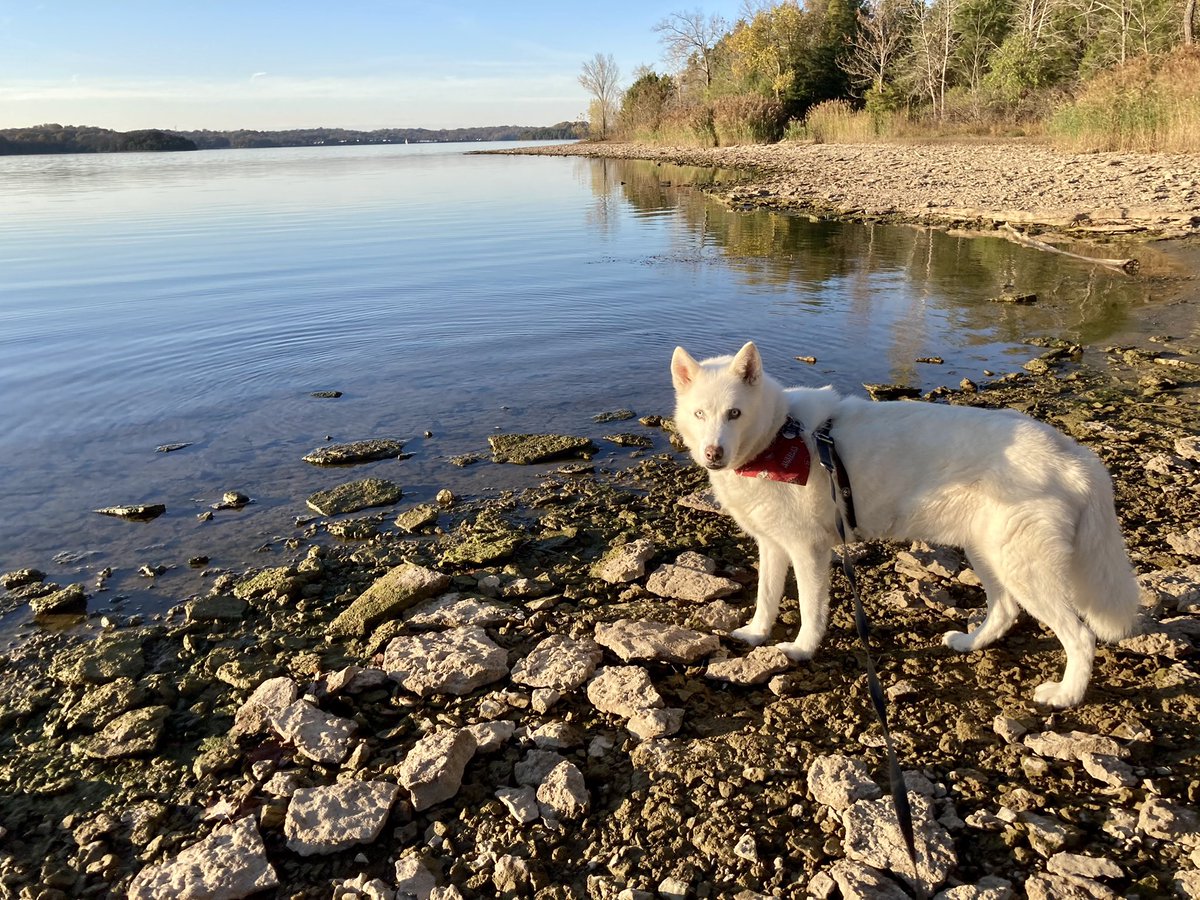 ctf20's tweet photo. Lunch break at the lake. #74degrees ππ» πΆ https://t.co/NG93PTjfFA