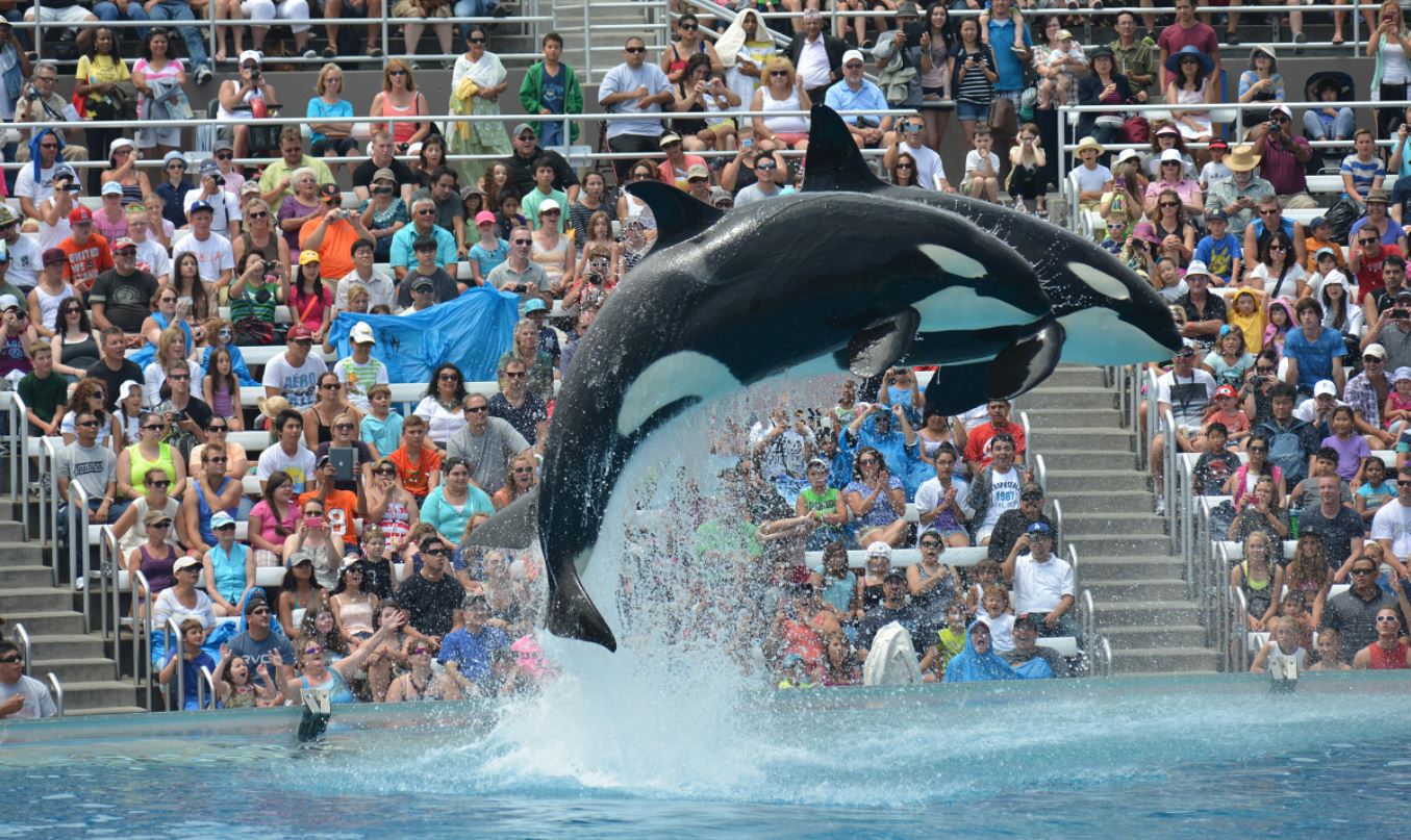 Sea World