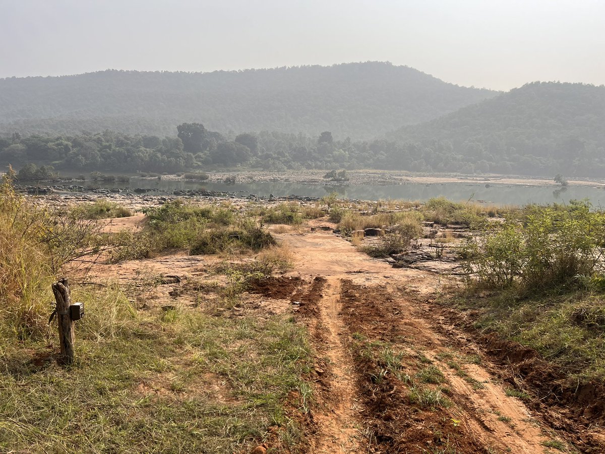 Deployment of our first camera traps in the field. Capturing wildlife through our deployed lenses <a href="/PannaTigerResrv/">Panna Tiger Reserve</a> #IndianForestService #Trainingdiaries #IFS #wildlife #CameraTrap