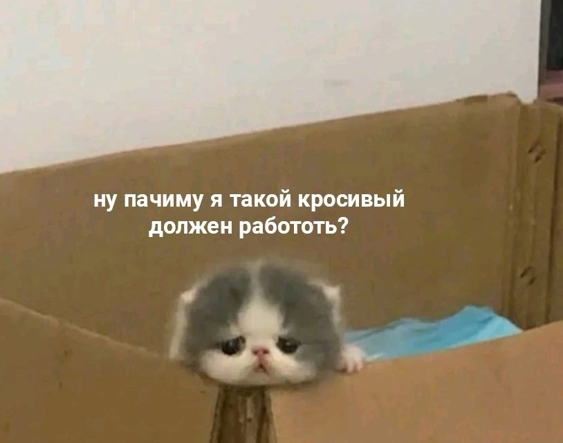 versatilitys's tweet image. ??? 😭