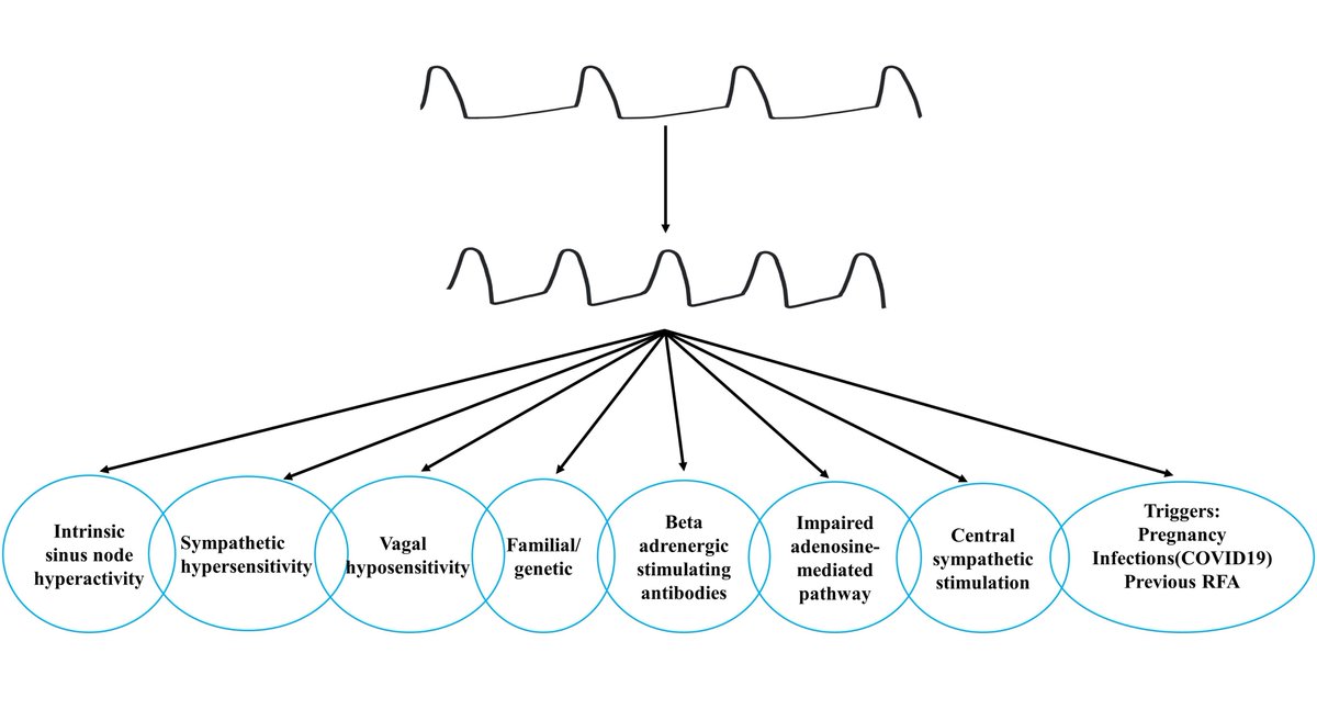 RCMjournal's tweet image. #RCM - Vol. 22 No. 4
#Callforread 
☎️Review - Inappropriate sinus tachycardia: a review
@Asimkichloo @KKanjwal 

#InappropriateSinusTachycardia #IST

Full text:
imrpress.com/journal/RCM/22…