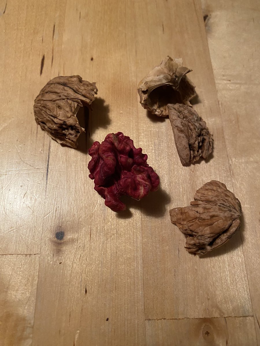 Diese Nüsse von <a href="/tentonic/">Ten Tonic</a> sind fast zu hübsch zum Essen. Und zu lecker um sie nicht zu essen 🙃