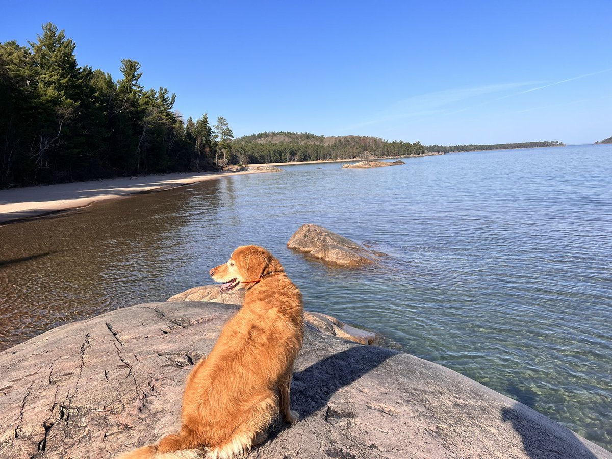 tonOapples's tweet photo. @bunsenbernerbmd Geology and Limnology https://t.co/9nr59ItRyB