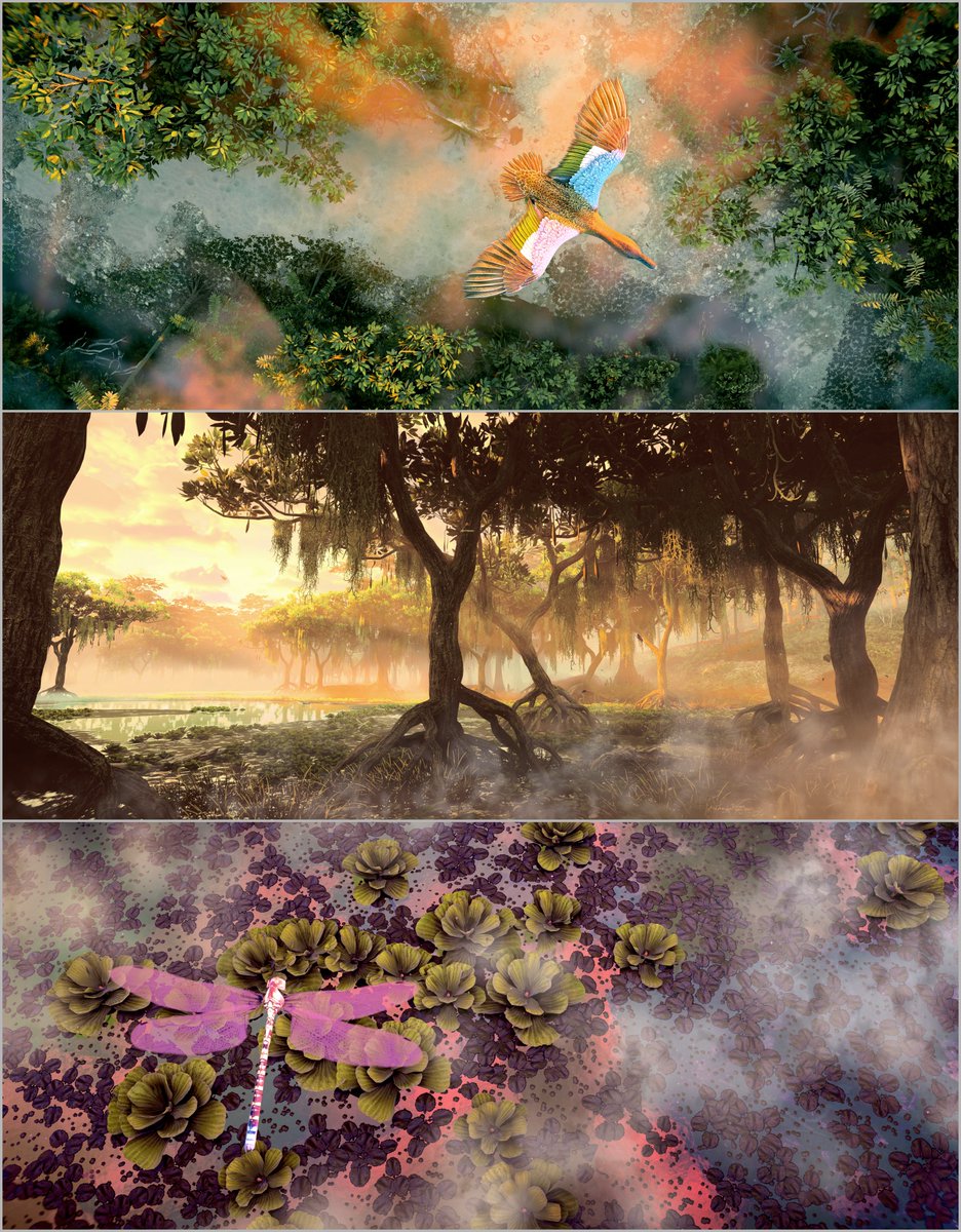 Moonlit🌙VP (inactive) tweet media