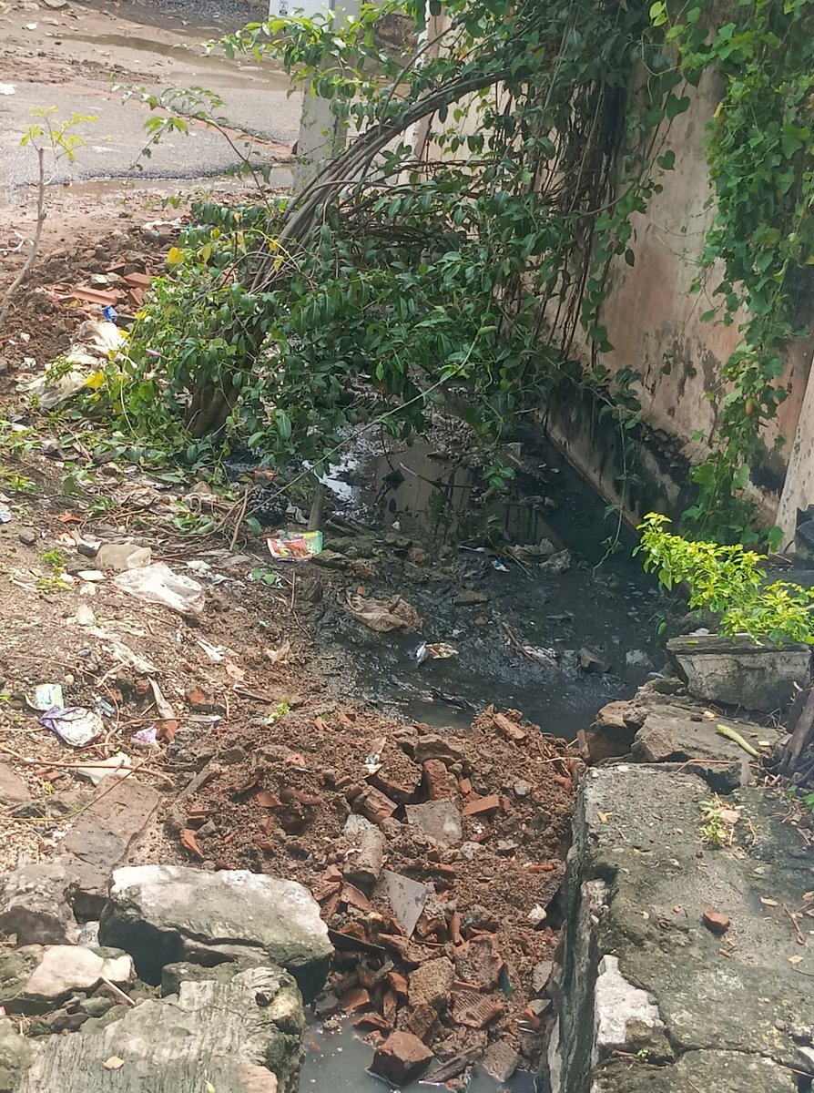 Pandieros's tweet photo. #Erodesoolai #ward6 our area affected #Dengue 2child for the improper drainage already complaint submitted #municipality but still no one care @dinathanthi @MalaimurasuTv #krishananunni #collector #muthusamysir @sunnewstamil @news7tamil @gennowmedia pls look on this need #help 🙏 https://t.co/mSs7Tr69aU