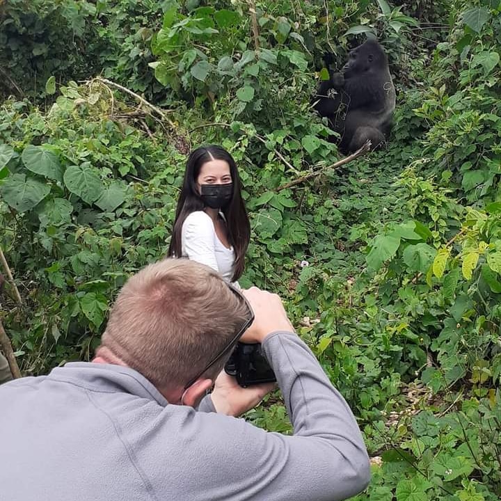 Burundiguides's tweet photo. Kahuzi Biega National Park. https://t.co/enKmmzw9L4