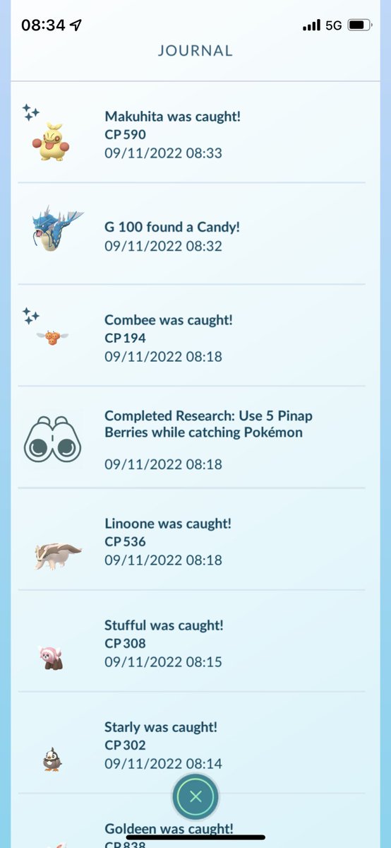 vivaanena's tweet photo. I apologize for complaining about the male Combee. What's going on?! Is it Community Day today? Yey! #PokemonGo #ShinyHunter #NotComplainingFor3days https://t.co/EZqS7aelu4