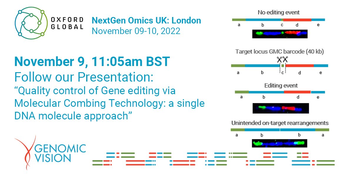 Come along to our presentation at <a href="/OGConferences/">Oxford Global</a>’ NextGen Omics UK where we will illustrate how our molecular combing technology can improve the quality control of gene editing.

You can also meet our team at 𝗯𝗼𝗼𝘁𝗵 𝟯𝟰.

#MolecularCombing #Genomics #genetherapy #geneediting