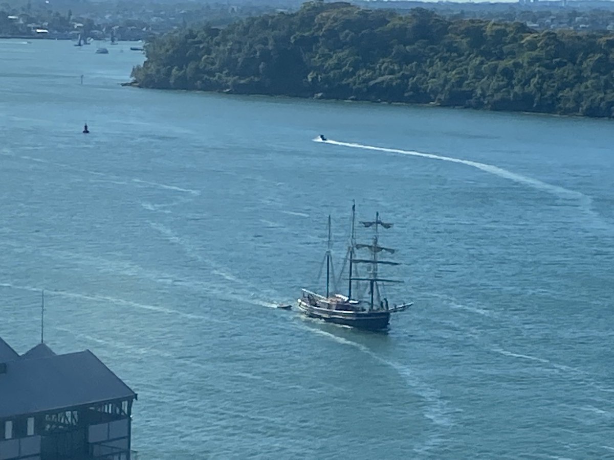 Meanwhile somewhere in Port Jackson