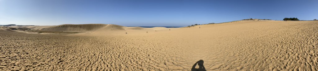 鳥取砂丘 (Tottori Sand Dunes) / Twitter