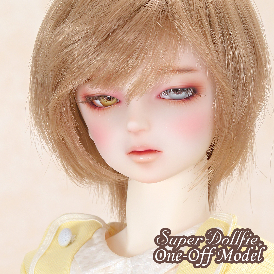 超美品 スーパードルフィー 初回限定版 SDくん カスタムにも ボークス