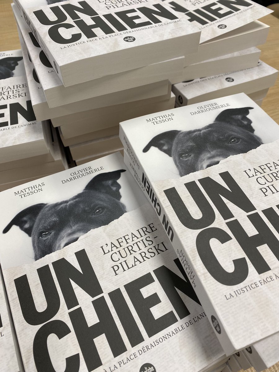 Matthias Tesson tweet media