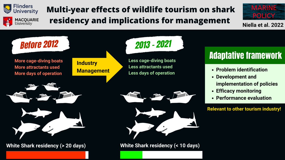 Just out in <a href="/PolicyMarine/">Marine Policy</a> 🚨 

Our analyses indicate that the management practices in the Australian cage-diving industry have effectively reduced potential negative impacts for white sharks
@VinayUdyawer <a href="/HuveneersSSEG/">Charlie Huveneers</a> 

Read all about it here👇🏽
authors.elsevier.com/a/1g2q8,714Mn9…