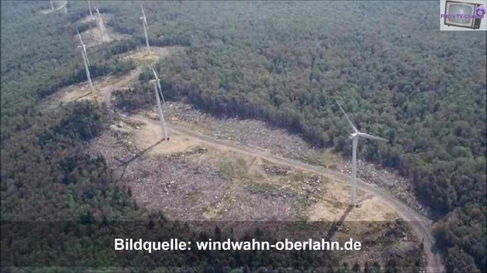 ganCheangal's tweet photo. #KeineTabus mehr! @GoeringEckardt und @Die_Gruenen fordern mehr Windkraftanlagen im Wald! Wer braucht schon natürliche CO2- Filter?🧐 https://t.co/jt0utzVBeZ