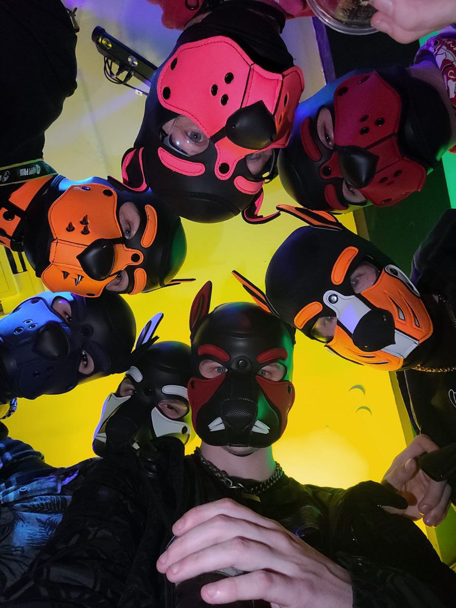 Hoshi_Doggo's tweet photo. Had a great weekend shame it had to finish. Met some great pups 🧡 
@kaya_doggo https://t.co/S1LtwJfVIh