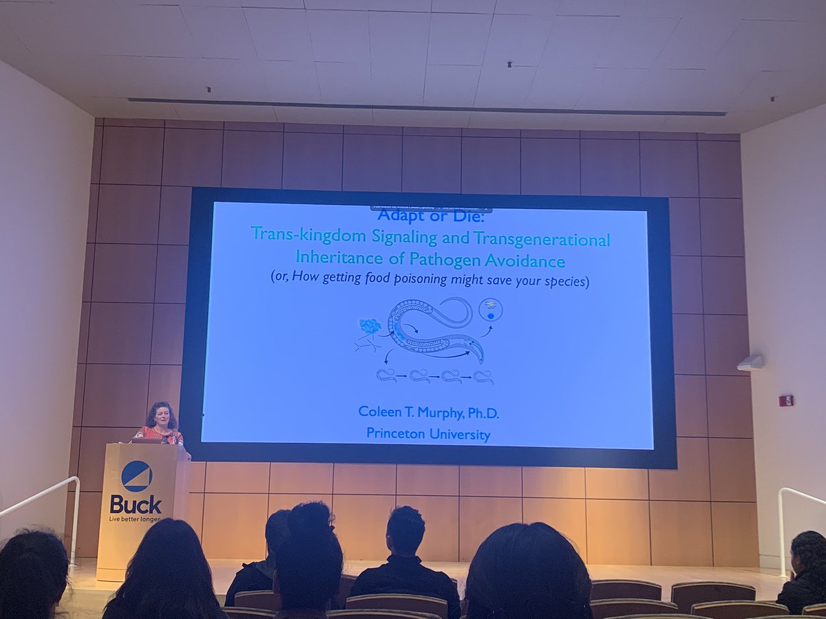 beappbeapp's tweet photo. It was such a pleasure to have Dr. Coleen T. Murphy here at Buck today. Her take on how she’s managed being a woman in science was truly inspiring! Thank you, #BWISE for putting this together! #buckinstitute https://t.co/PcrAXKCtq1