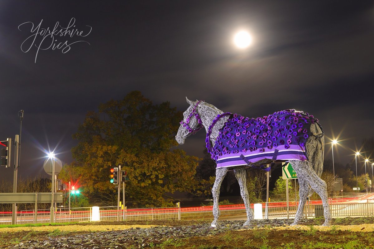 Yorkshire_Pics's tweet photo. The #Horsforth horse #sculpture has been given a purple poppy coat. This is to remember those animals who died during the war and for those that are serving us today. Give yourself a pat on the back if this is your work. #WeWillRememberThem #animalswar #lestweforget #leeds https://t.co/SkZraoOofh
